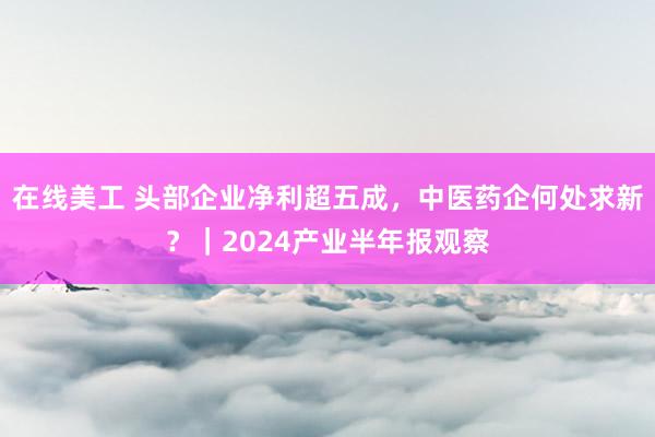 在线美工 头部企业净利超五成，中医药企何处求新？｜2024产业半年报观察